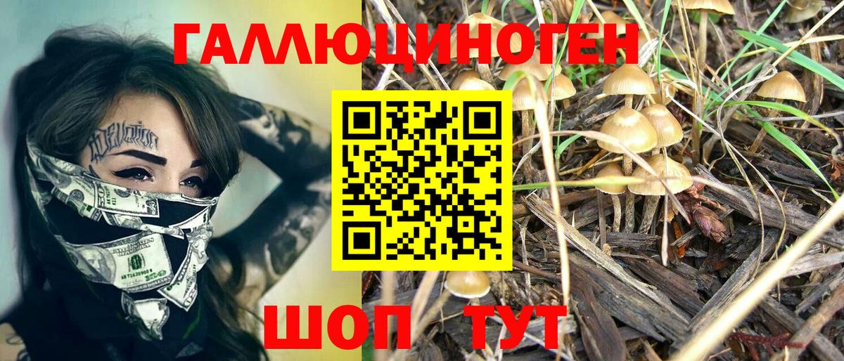 Псилоцибиновые грибы GOLDEN TEACHER Вологда